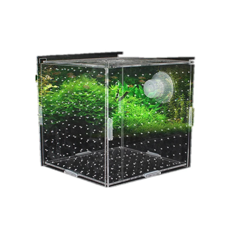 Acrylic Aquarium Isolation Box – Fish Fry Incubator & Breeding Tank