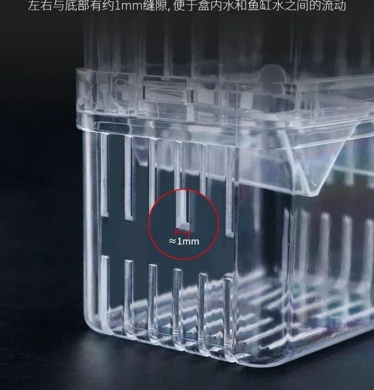 Acrylic Fish Breeder Box – Double Chamber Guppy Hatchery