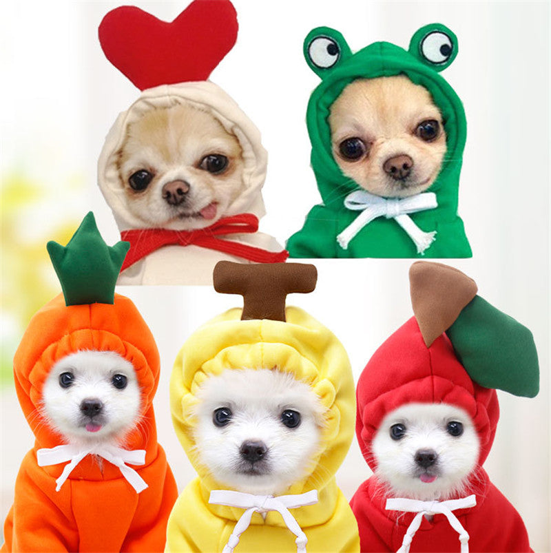 Cute Fruit Hoodie – Warm Winter Clothes for Small Dogs